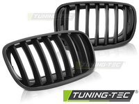BMW X5 E70 / X6 E71 Hűtőrács (Évj.: 2008-tól) by Tuning-Tec