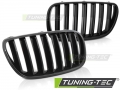 BMW X3 E83 Hűtőrács (Évj.: 2006 - 2010) by Tuning-Tec