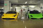 a_nap_tuning_kepe_2012_02_29.jpg