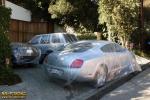 a_nap_tuning_kepe_2012_03_19.jpg